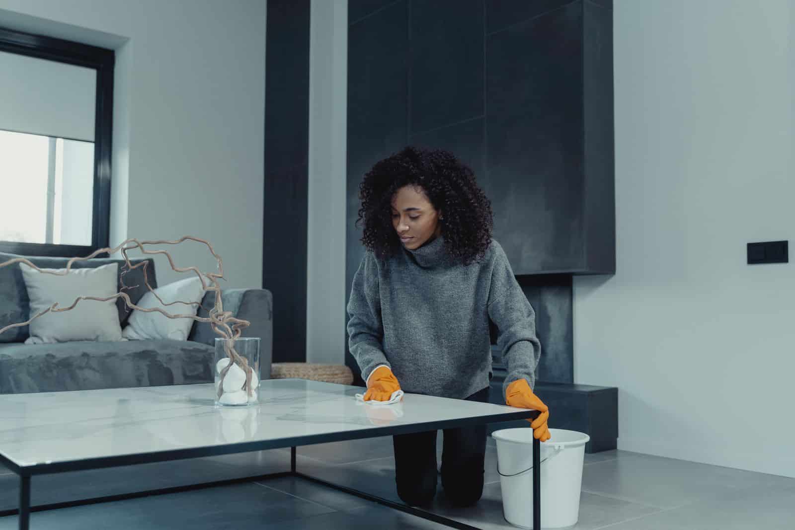 Employée de maison entretenant un salon